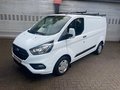 Daumennagel 4 - Ford Transit Custom Kasten 280 L1 Trend