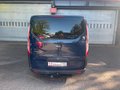 Daumennagel 10 - Ford Transit Custom Kasten 290 L2 Trend