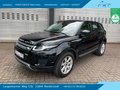 Daumennagel 1 - Land Rover Range Rover Evoque Pure