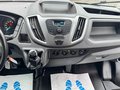 Daumennagel 17 - Ford Transit Kasten 350 L3H2 Trend