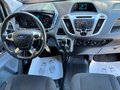 Daumennagel 14 - Ford Transit Custom Kasten 270 L1 Trend