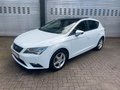 Daumennagel 4 - Seat Leon Style
