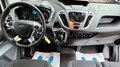 Daumennagel 14 - Ford Transit Custom Kasten 290 L2H1 Trend