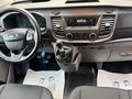 Daumennagel 15 - Ford Transit Custom Kasten 280 L1 Trend
