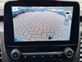 Daumennagel 17 - Ford Transit Custom Kasten 300 L2H1 Trend
