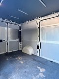 Daumennagel 11 - Peugeot Boxer 2.0HDI 335 L2H2 163 ps