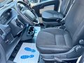Daumennagel 13 - Peugeot Boxer 2.0HDI 335 L2H2 163 ps