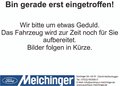Daumennagel 23 - Ford Fiesta ST-Line 1.0 EB Hybrid Klimaautomatik/Winterpaket