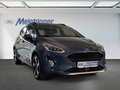 Daumennagel 3 - Ford Fiesta Active X