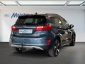 Daumennagel 4 - Ford Fiesta Active X