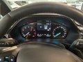 Daumennagel 11 - Ford Fiesta Active X