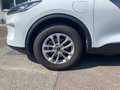 Daumennagel 7 - Ford Kuga Plug-In Hybrid Titanium X