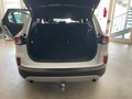 Daumennagel 8 - Ford Kuga Plug-In Hybrid Titanium X