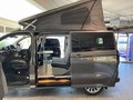 Daumennagel 9 - Ford Transit Custom Nugget 320 L1 Titanium Aufstelldach FWD
