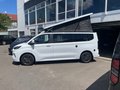 Daumennagel 6 - Ford Transit Custom Nugget 320 L2 Titanium Aufstelldach AWD