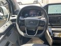 Daumennagel 11 - Ford Transit Custom Nugget 320 L2 Titanium Aufstelldach AWD