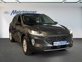 Daumennagel 3 - Ford Kuga Plug-In Hybrid Titanium