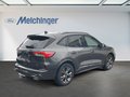 Daumennagel 2 - Ford Kuga Plug-In Hybrid ST-Line X