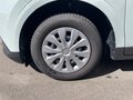 Daumennagel 7 - Ford Tourneo Courier Trend