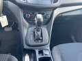 Daumennagel 12 - Ford C-MAX Cool & Connect