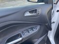 Daumennagel 19 - Ford C-MAX Cool & Connect