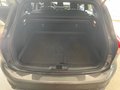 Daumennagel 16 - Ford Focus Turnier ST-Line