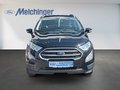 Daumennagel 2 - Ford EcoSport Cool & Connect