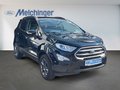 Daumennagel 3 - Ford EcoSport Cool & Connect