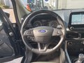 Daumennagel 10 - Ford EcoSport Cool & Connect