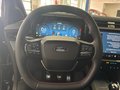 Daumennagel 10 - Ford Puma ST-Line Winterpaket/Komfortpaket/u.v.m.