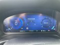 Daumennagel 11 - Ford Puma ST-Line X