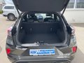 Daumennagel 16 - Ford Puma ST-Line X