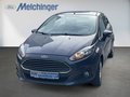 Daumennagel 2 - Ford Fiesta Sync Edition