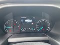 Daumennagel 11 - Ford Titanium 320 L1 Tourneo