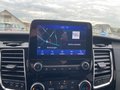 Daumennagel 12 - Ford Titanium 320 L1 Tourneo