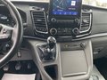 Daumennagel 13 - Ford Titanium 320 L1 Tourneo