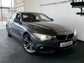 Daumennagel 7 - BMW 420d GranCoupe Aut. Kamera M-Lenkrad Vollleder