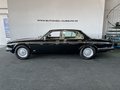 Daumennagel 5 - Jaguar XJ V12 Serie III H-Zulassung Schiebedach TOP