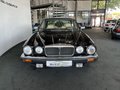 Daumennagel 2 - Jaguar XJ V12 Serie III H-Zulassung Schiebedach TOP