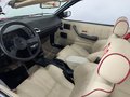 Daumennagel 14 - Chevrolet Cavalier 2.8 FI Z24 Automatik Cabrio Leder 14"