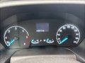 Daumennagel 19 - Ford Transit Pritsche 310 L2 Doppelkabine /Klima /AHK/7-Sitzer/DAB