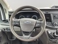 Daumennagel 20 - Ford Transit Pritsche 310 L2 Doppelkabine /Klima /AHK/7-Sitzer/DAB