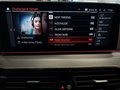 Daumennagel 20 - BMW 530 d xDrive Luxury Line LASER/LEDER/HUD/AHK/STHZ/VIRTUAL COCKPIT