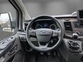 Daumennagel 9 - Ford Transit Custom Panama 320 L2 /KLIMA/AHK/RFK/STANDHZ