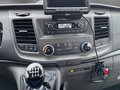 Daumennagel 14 - Ford Transit Custom Panama 320 L2 /KLIMA/AHK/RFK/STANDHZ