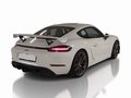Daumennagel 3 - Porsche 718 Cayman GT4 PDK/SPORT CHRONO/PASM/AGA+ PDK