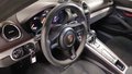 Daumennagel 13 - Porsche 718 Cayman GT4 PDK/SPORT CHRONO/PASM/AGA+ PDK