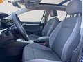 Daumennagel 10 - Volkswagen Golf Variant Alltrack 4Motion AHK Pano LED RFK NAVI