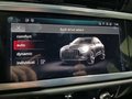 Daumennagel 15 - Audi Q3 45 TFSI e S Line NAVI/LED/LEDER/ACC/LANE/RFK/VIRTUAL COCKPIT