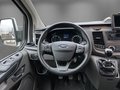 Daumennagel 17 - Ford Transit Custom Panama 320 L2 /KLIMA/AHK/RFK/STANDHZ